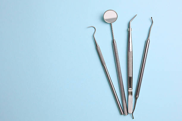 Top rated local Dental specialists in Keystone, FL